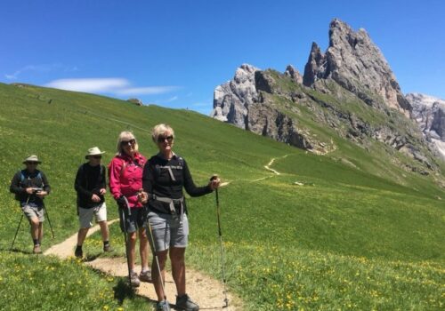 Seceda, Dolomites, Italy