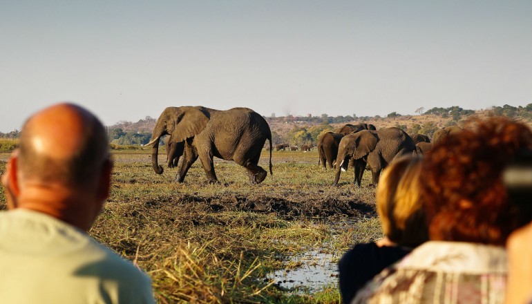Chobe National Park elephants, Botswana Wild Parks