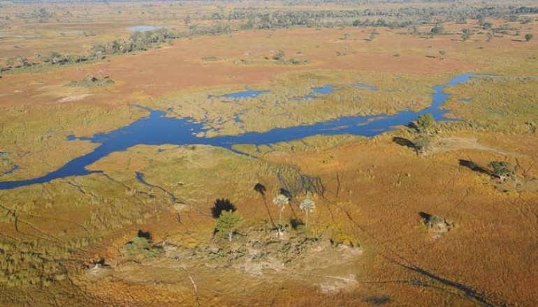 View from Okavango Scenic flight