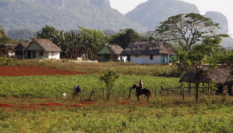 Vinales