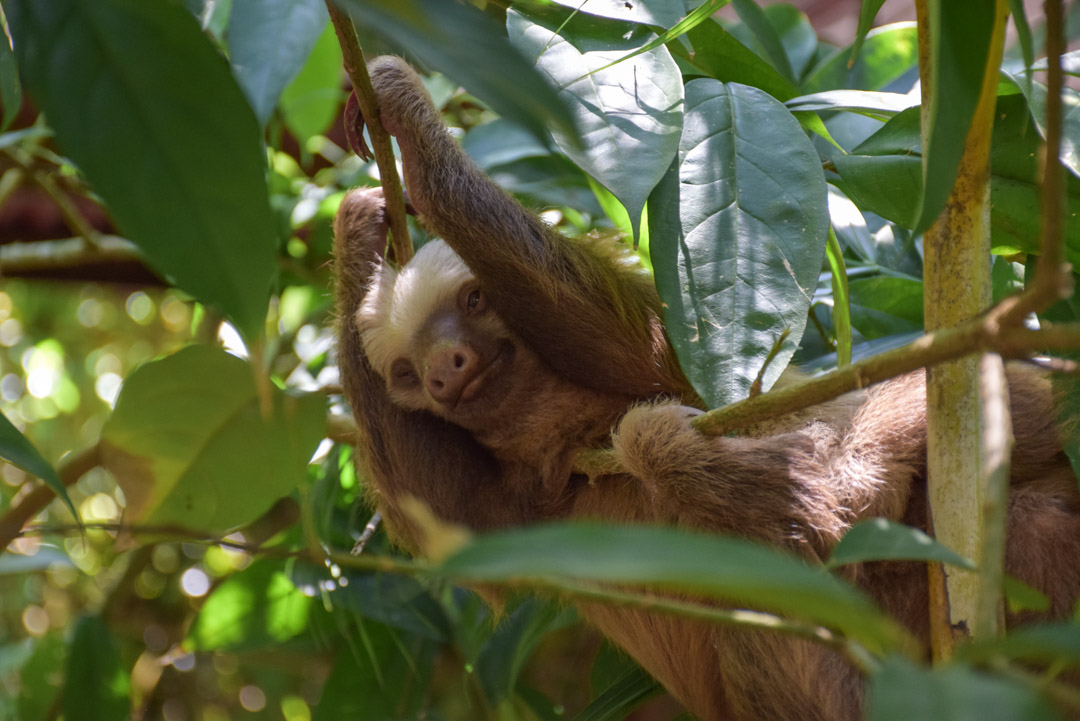 Costa Rica