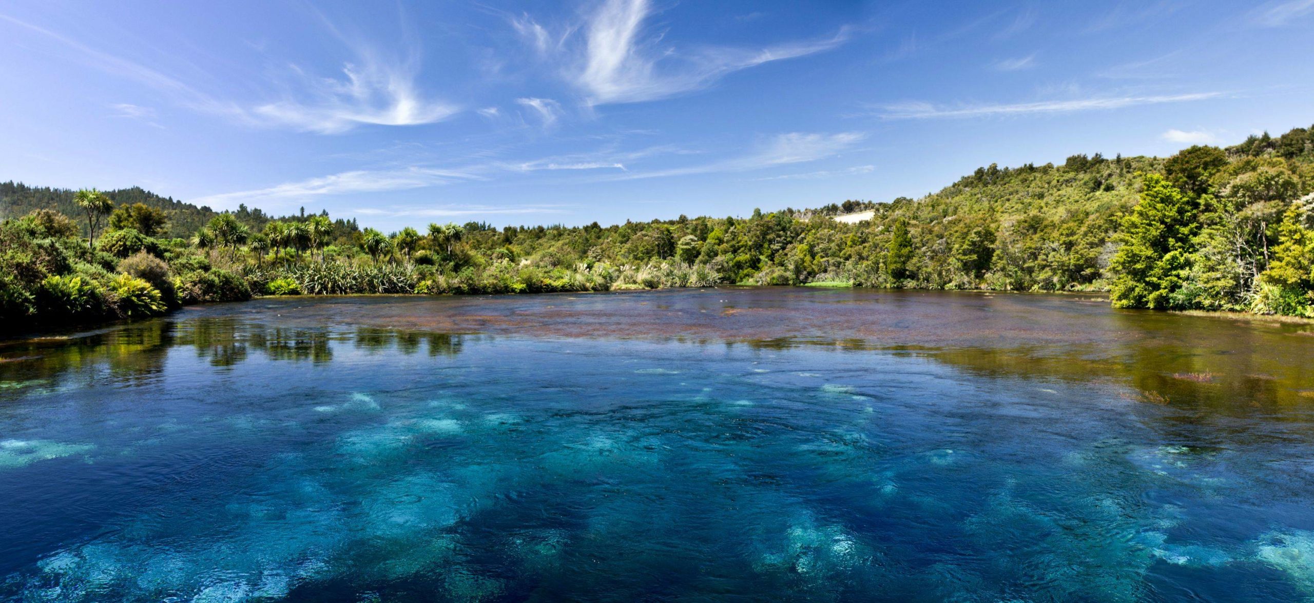 Te Waikoropupu Spring