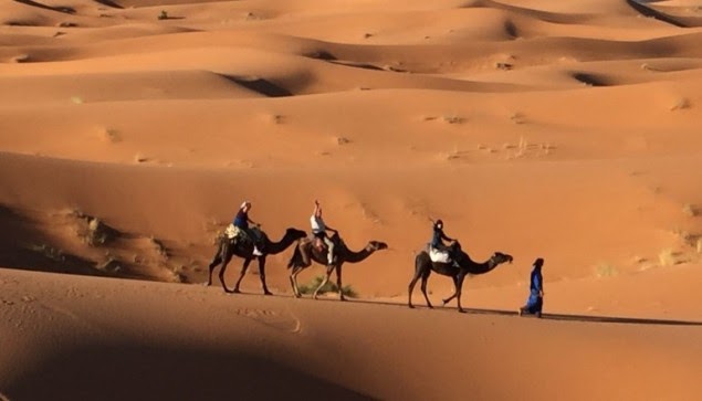 have an authentic experience in Morocco