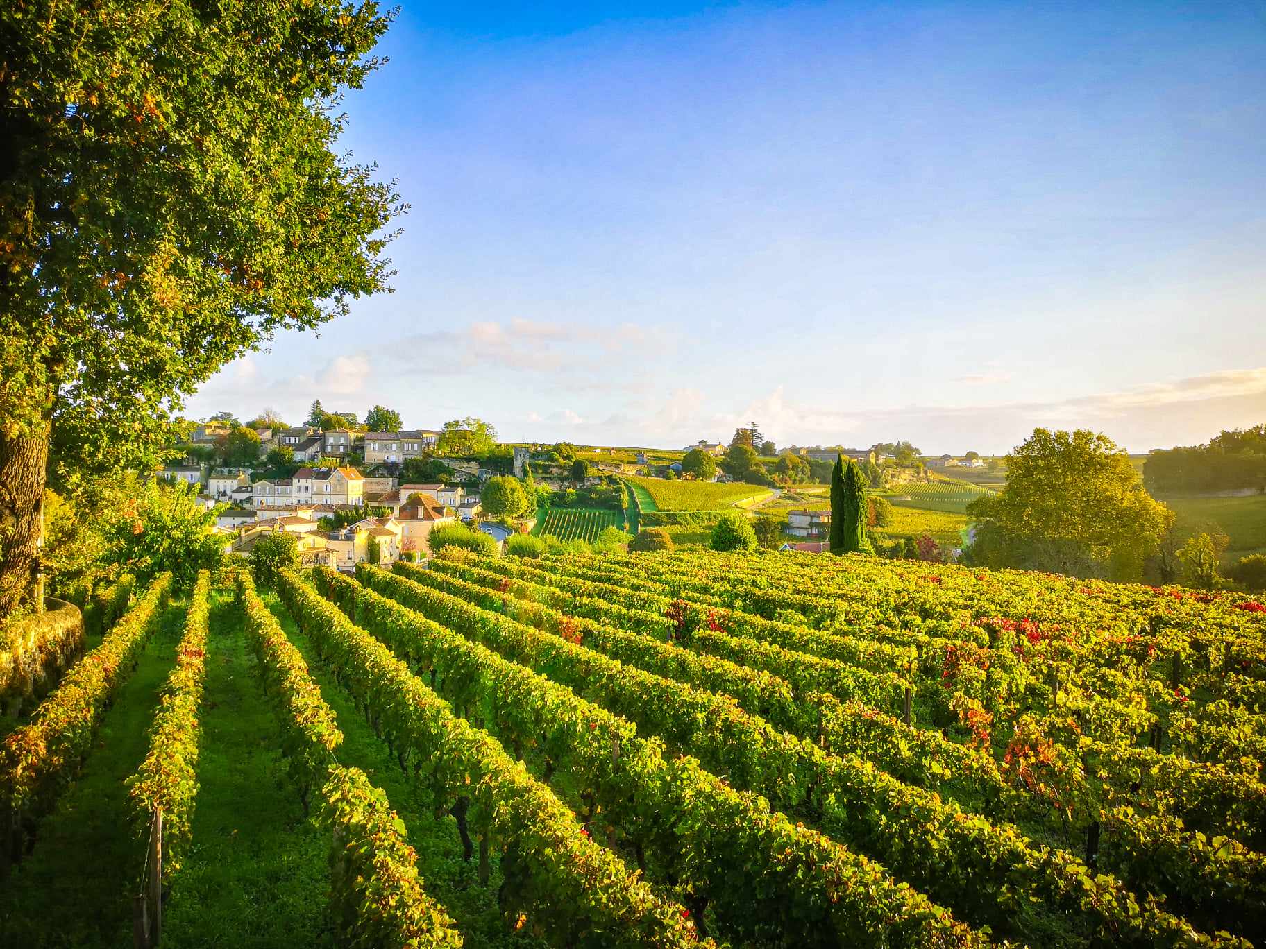 St Emilion