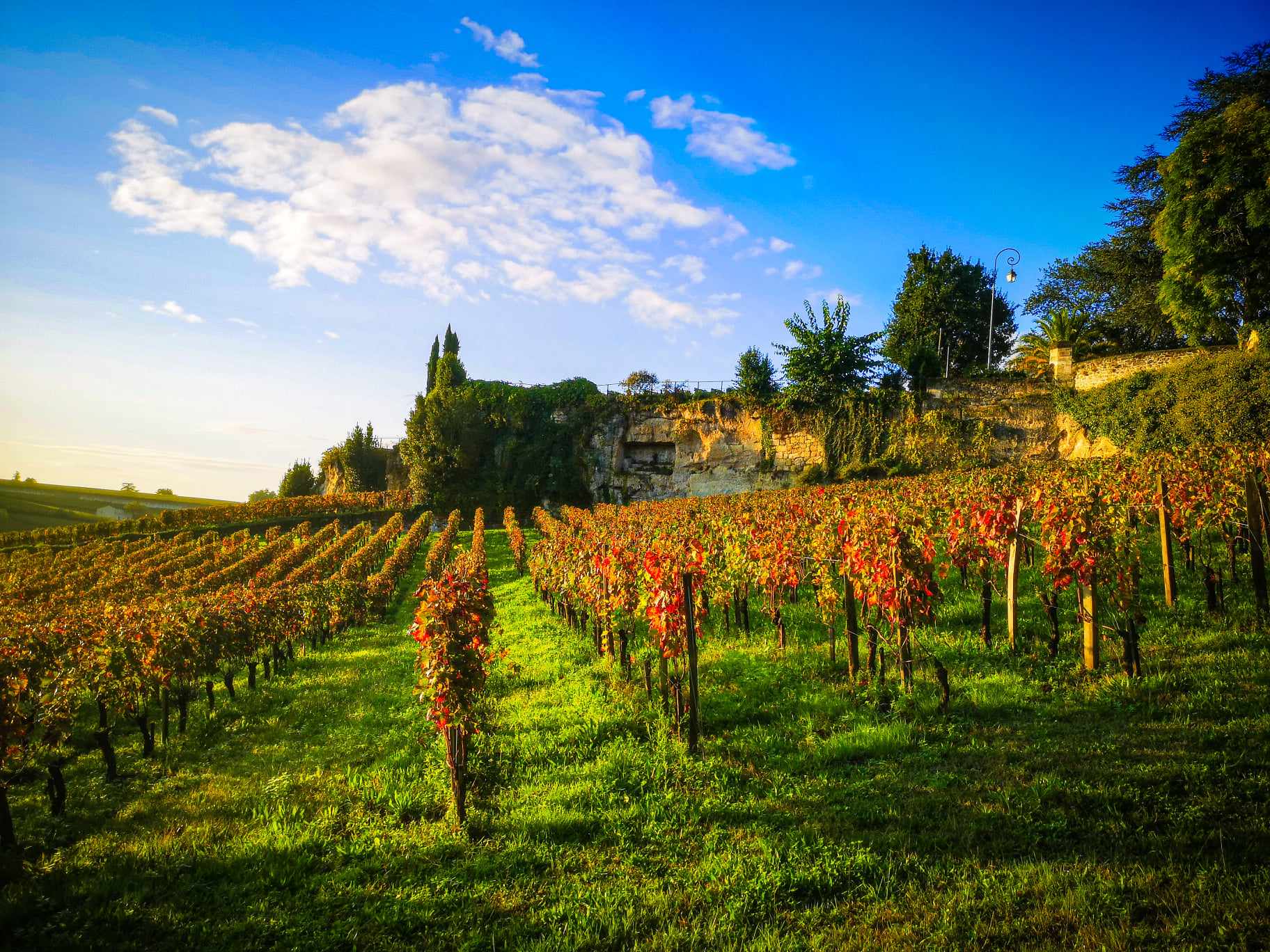 St Emilion